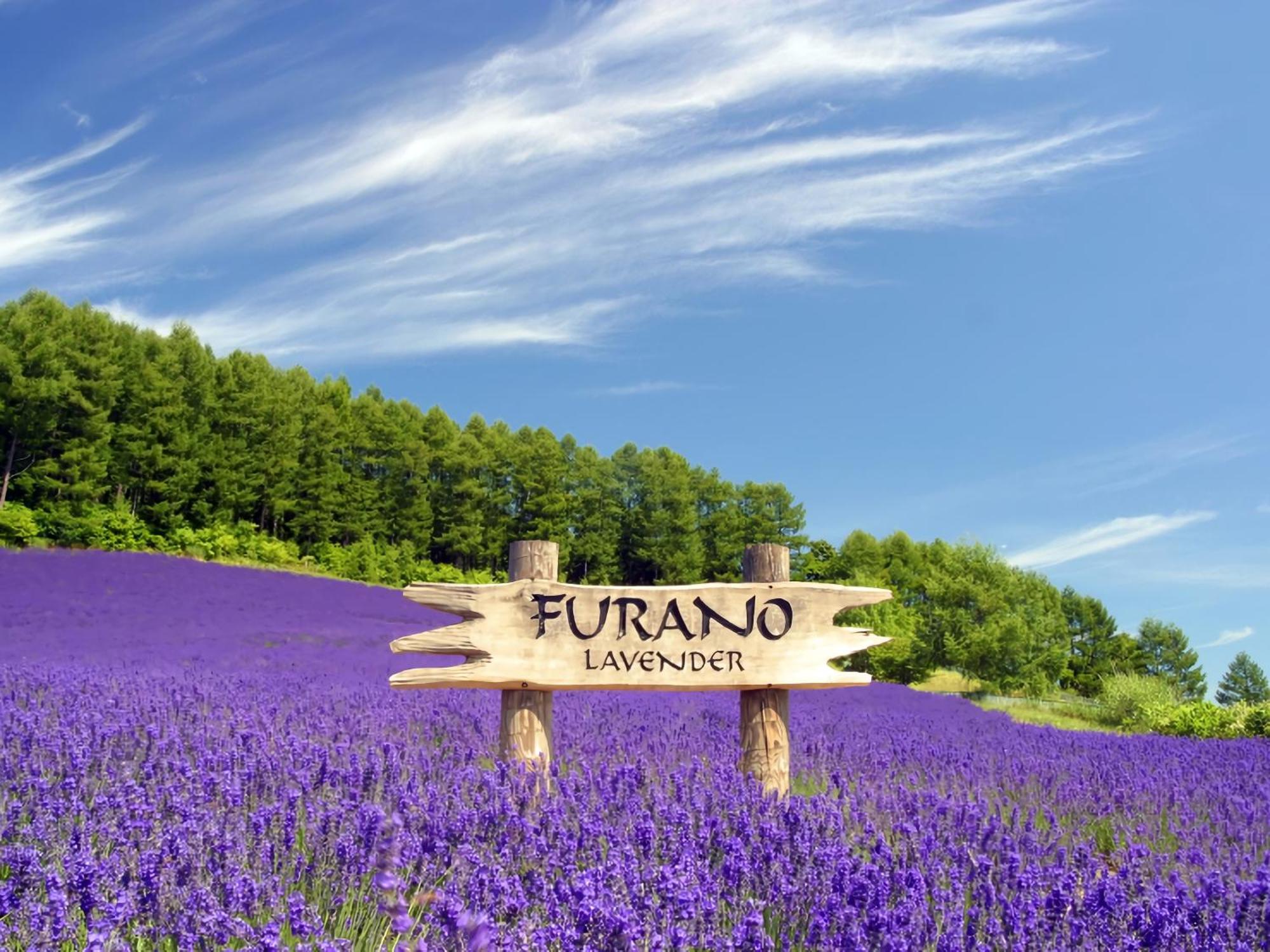 Hotel Naturwald Furano Nakafurano Exterior foto